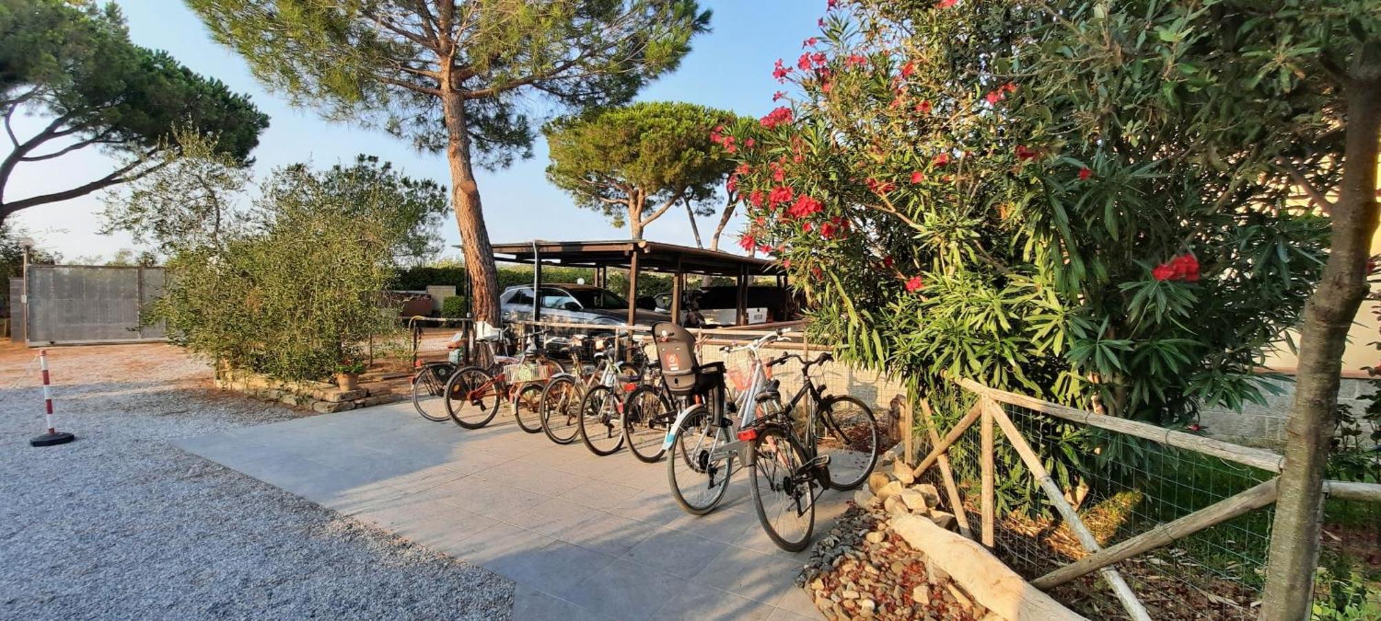 Agriturismo Terra Del Sole Риоторто Экстерьер фото