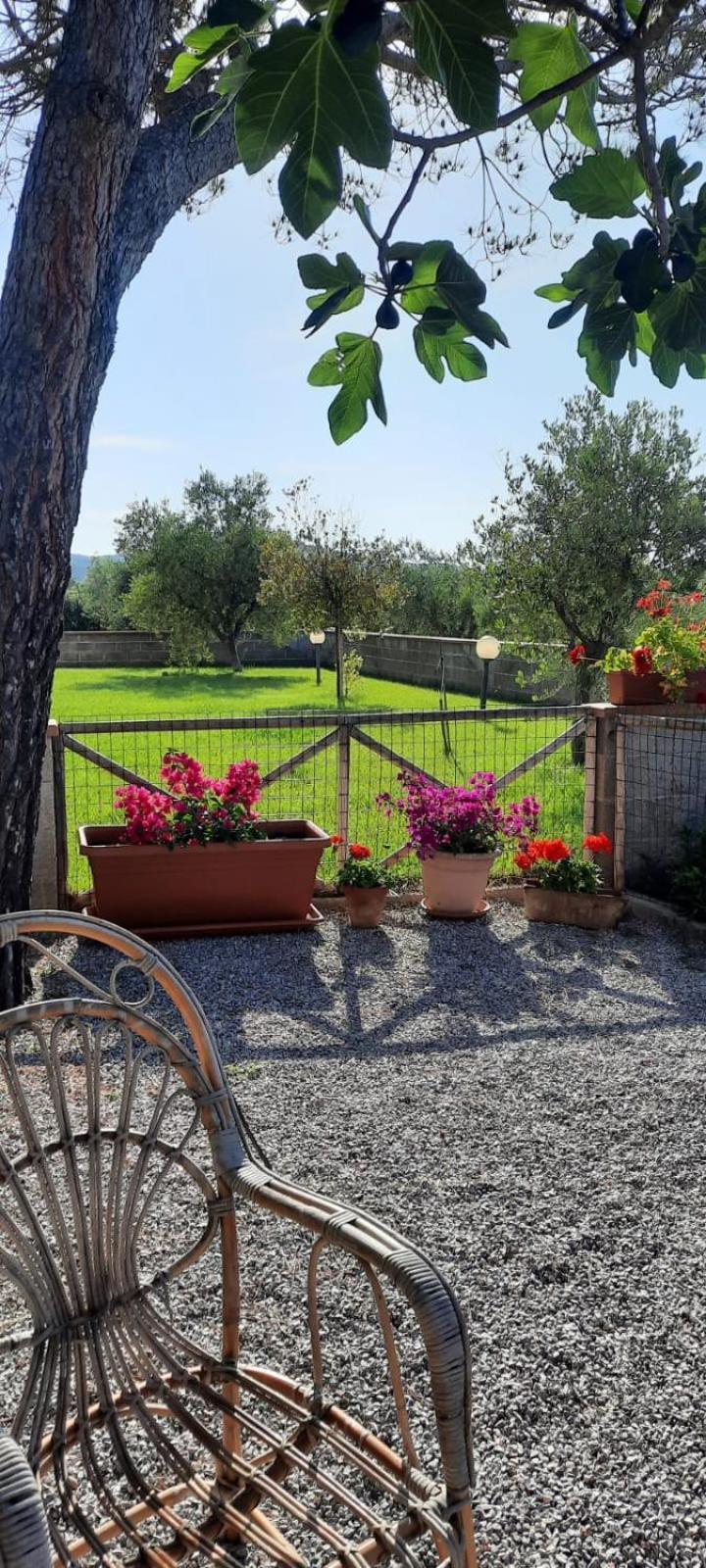 Agriturismo Terra Del Sole Риоторто Экстерьер фото